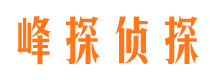 桐庐找人公司